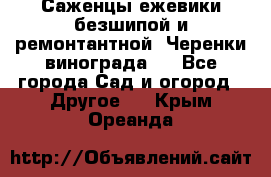 Саженцы ежевики безшипой и ремонтантной. Черенки винограда . - Все города Сад и огород » Другое   . Крым,Ореанда